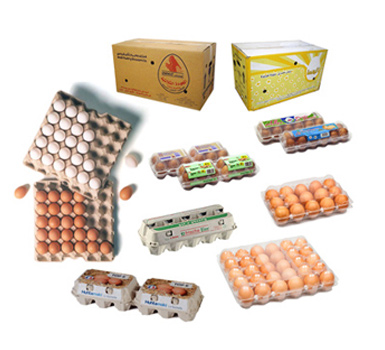 EggPacking